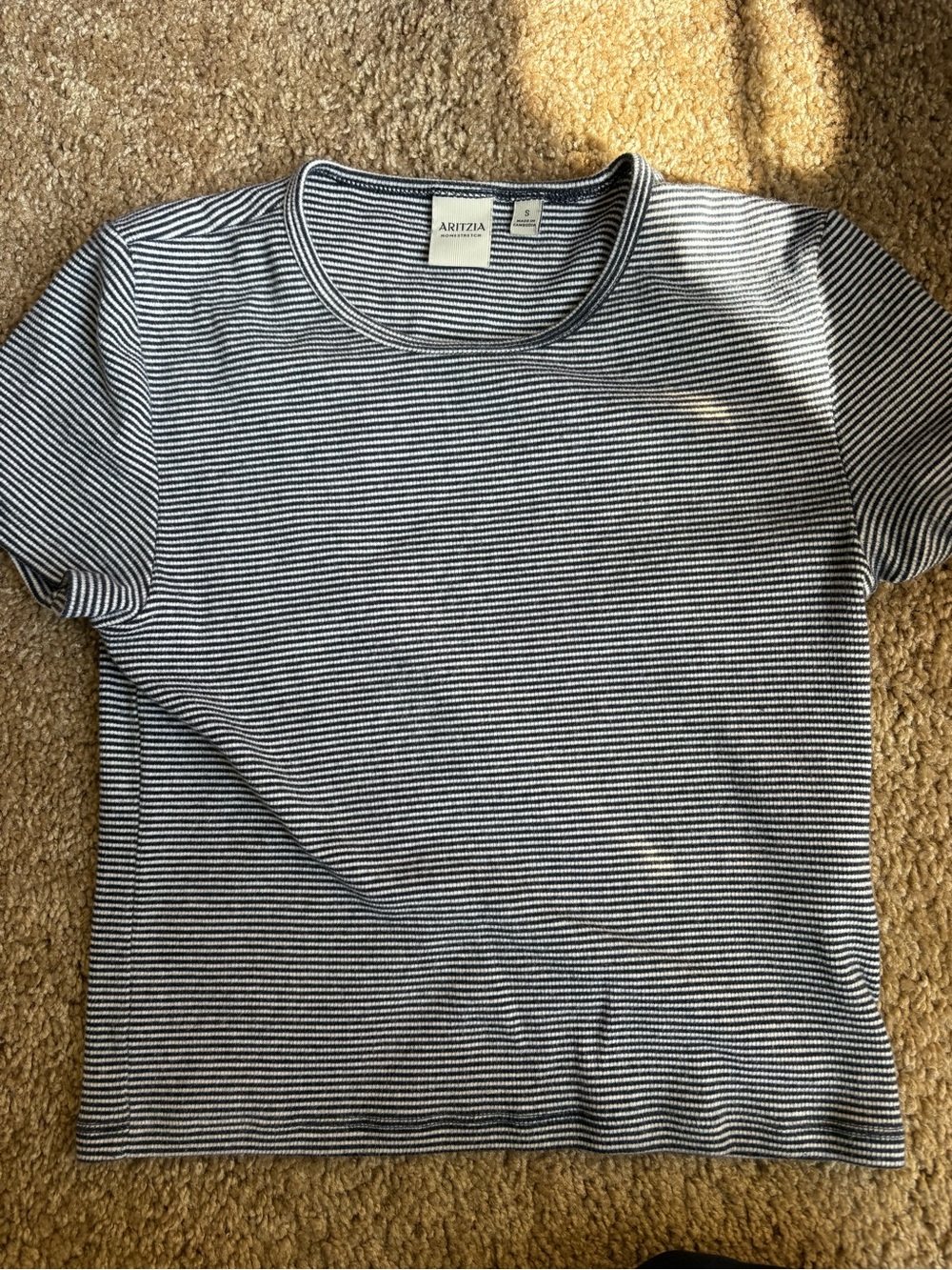 Aritzia Homestretch Navy and White Striped Tee